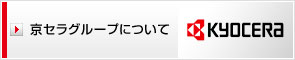 �����饰�롼�פˤĤ���