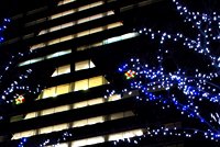 写真:高さ約86m ビル壁面に浮かび上がる巨大クリスマスツリー