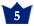 �����͵����5��