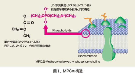 図：図1 MPCの構造