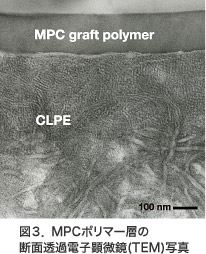 写真：図3 MPCポリマー層の断面透過電子顕微鏡（TEM）写真