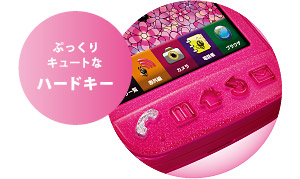 写真:デザインポイント ぷっくりキュートなハードキー