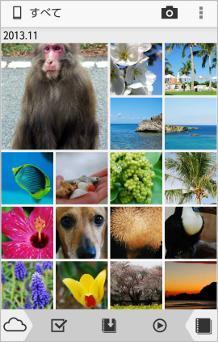 写真:フォトライブラリ