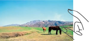 写真:ズームイン/ズームアウト