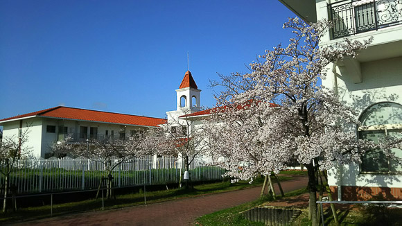 20220404-1.JPG