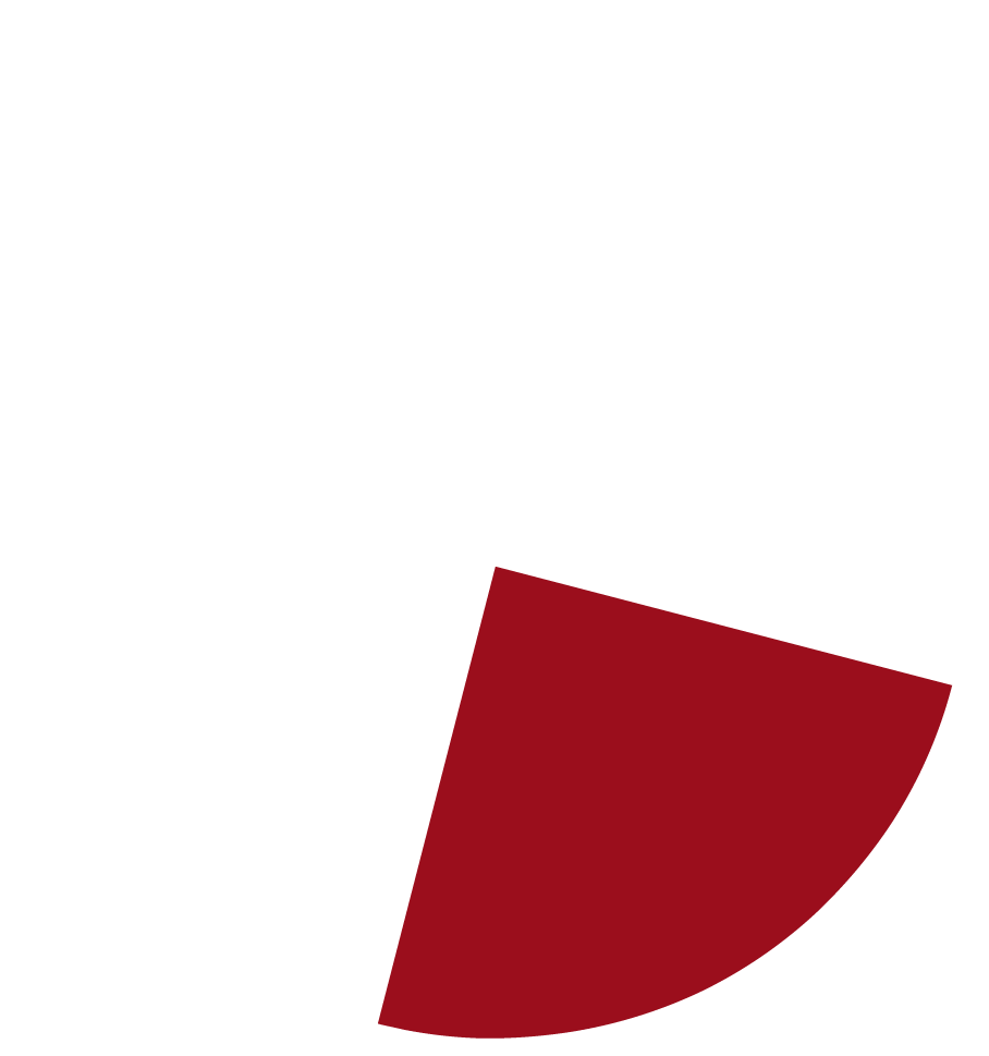 地域別売上高構成比