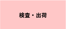 検査・出荷