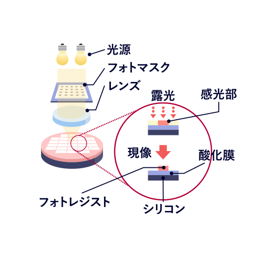 露光・現像