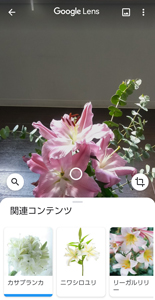 写真：Google レンズ での検索画面イメージ