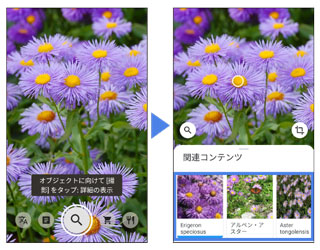 写真：Googleレンズ活用イメージ