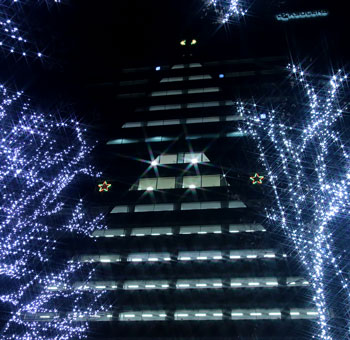 写真：ビル壁面の巨大クリスマスツリー
