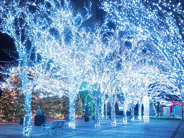 約19万個のLEDが彩る冬の京都の恒例イベントが、2年ぶりの開催<br>京セラ本社イルミネーション2019