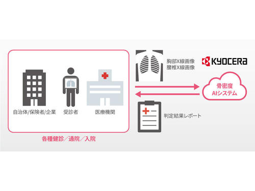 京セラが「AI骨粗しょう症診断補助システム」の実用化を目指し東京大学と「運動器AIシステム開発学講座」を開設