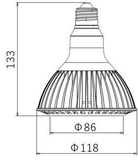 電球姿図.png