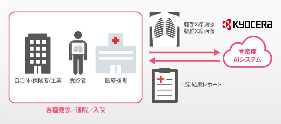 「AI骨粗しょう症診断補助システム」による診断補助イメージ.jpg