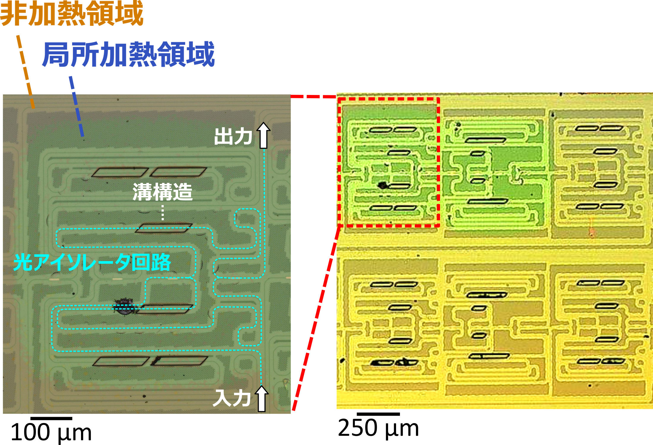 Figure_1_PressJP_260908a.png.png