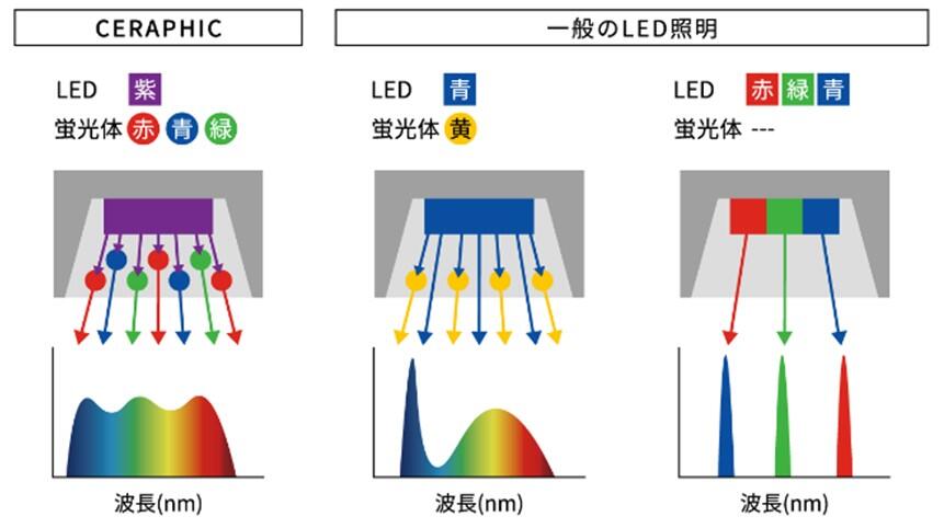 画像1.jpg