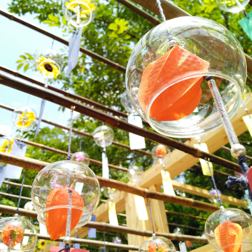 愛らしい姿と涼やかな音色が夏を彩る！ 京セラスマホ写真集(風鈴編)