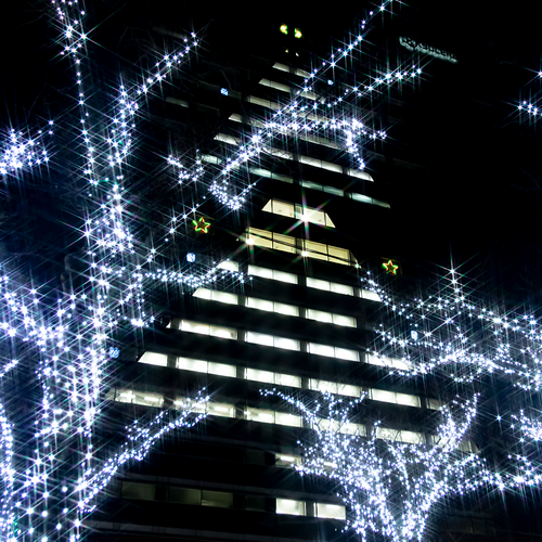 京セラ本社のクリスマスツリーたち！