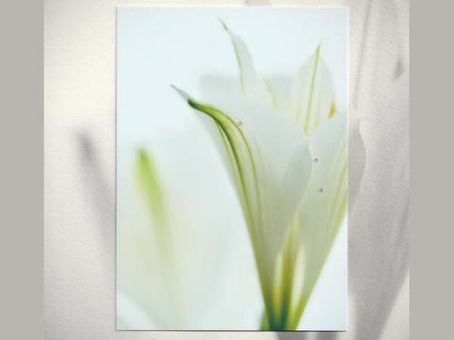 大町憲治写真展・蒔絵師の視点Part IV ～ 融合 ～