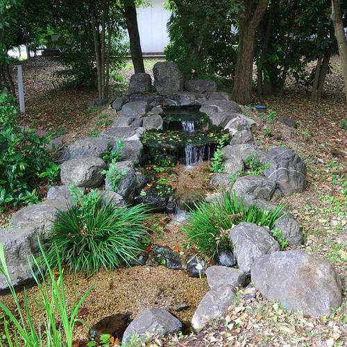 >初夏の訪れをお知らせ