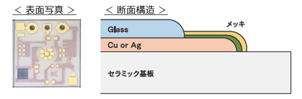 表面写真と断面構造