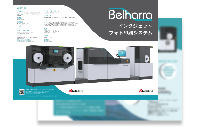 image_belharra_catalog.png