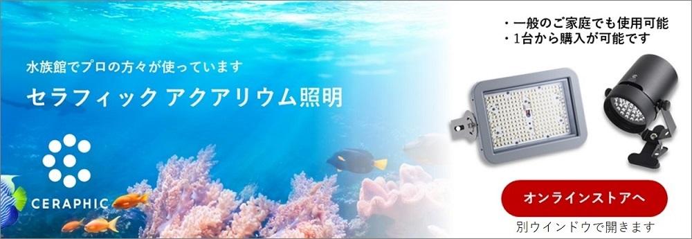 海水✋サンゴ用京セラ セラフィックス アクアブルー /