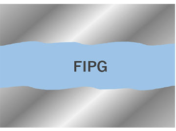 FIPG