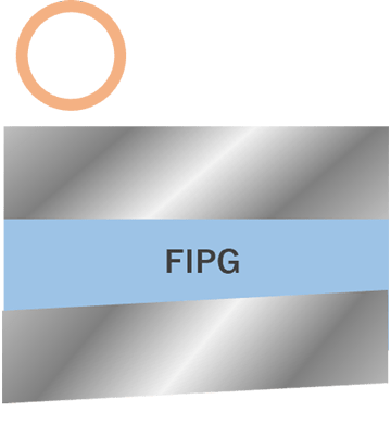 FIPG