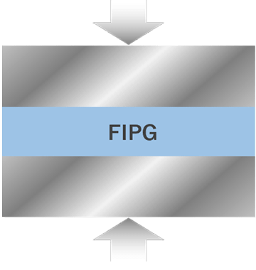 FIPG