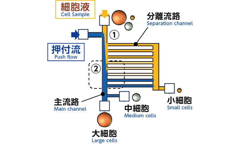 流路概略図