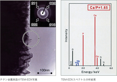 写真：チタン金属のTEM-EDX写真とTEM-EDXスペクトル分析結果