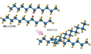 図：隣接した分子鎖、クロスリンク