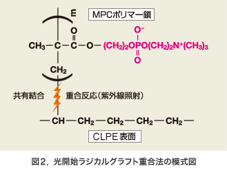 図：図2 光開始ラジカルグラフト重合法の模式図