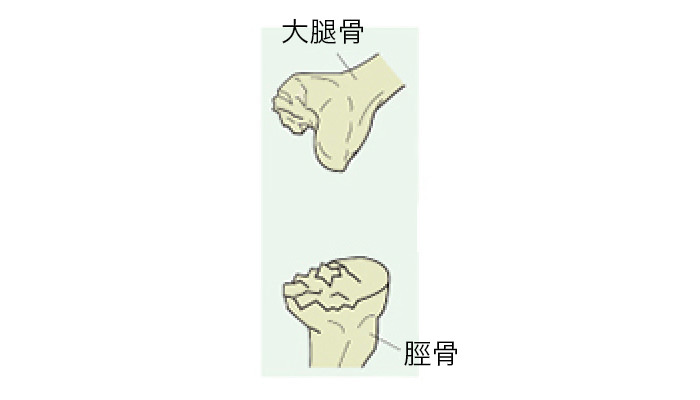 イメージ図