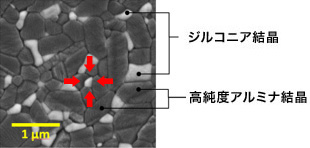 写真：BIOCERAM AZULの結晶写真