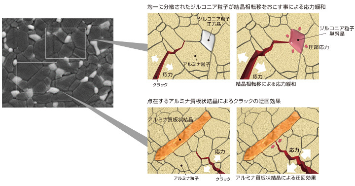 図：均一に分散されたジルコニア粒子が結晶相転移をおこす事による応力緩和の図、点在するアルミナ質板状結晶による迂回効果の図