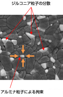 図：ジルコニア粒子の分散とアルミナ粒子による拘束の図