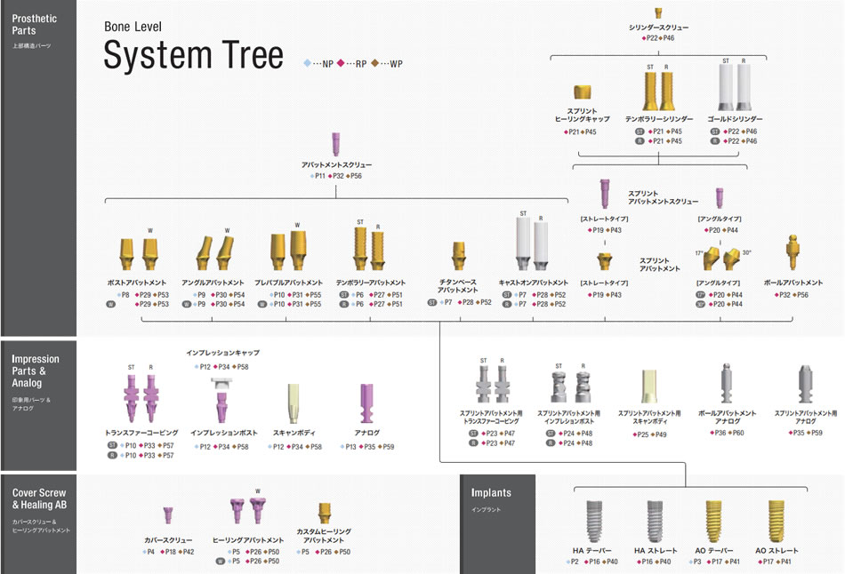 イメージ:Bone Level System Tree