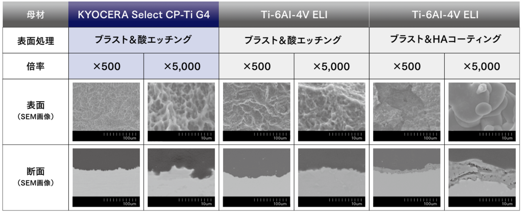 母材別表面処理のSEM画像一覧表