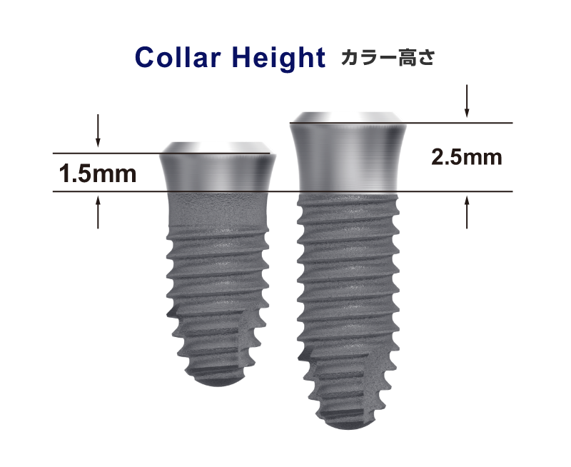 カラー高さ1.5mm