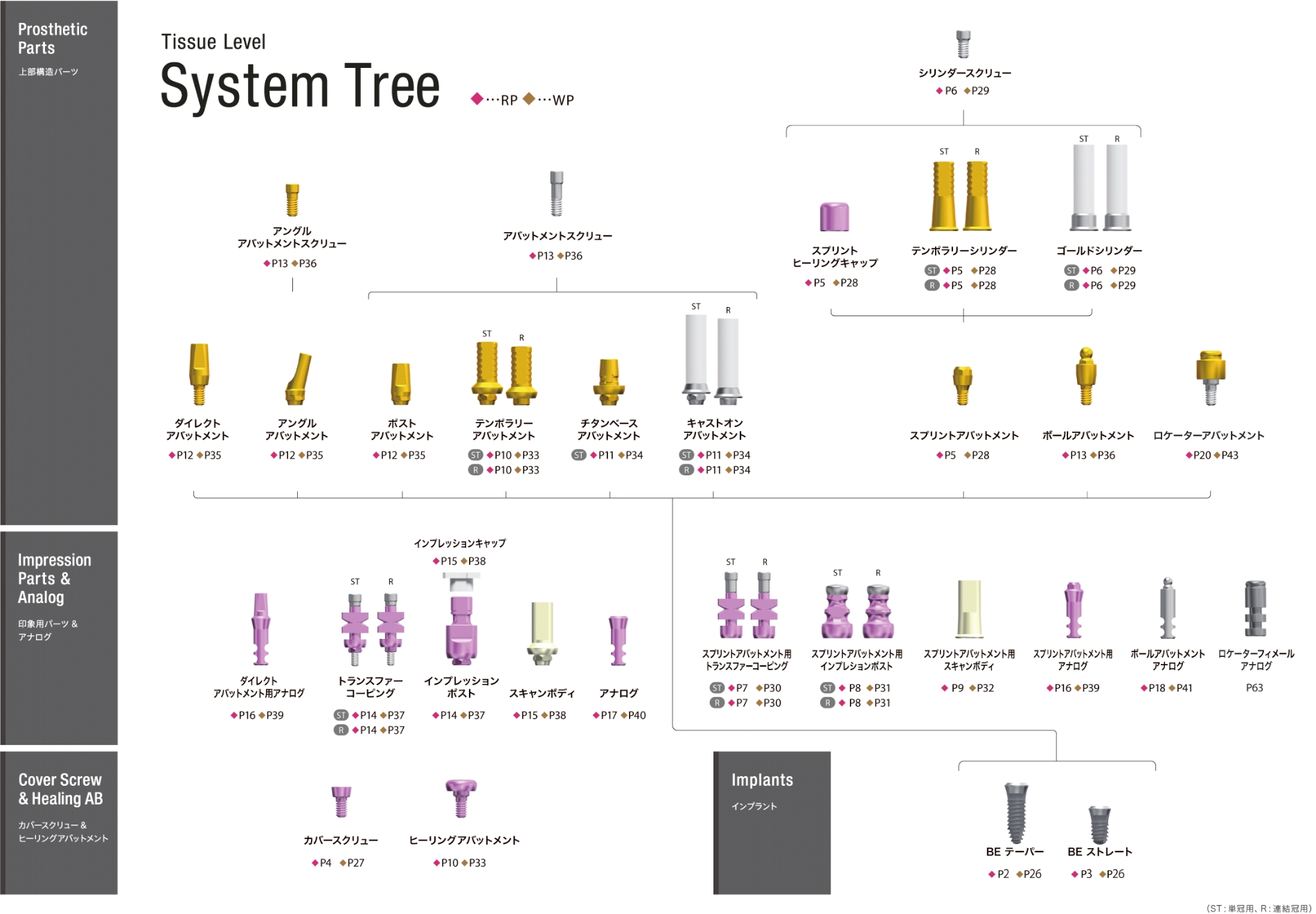 イメージ：Tissue Level System Tree