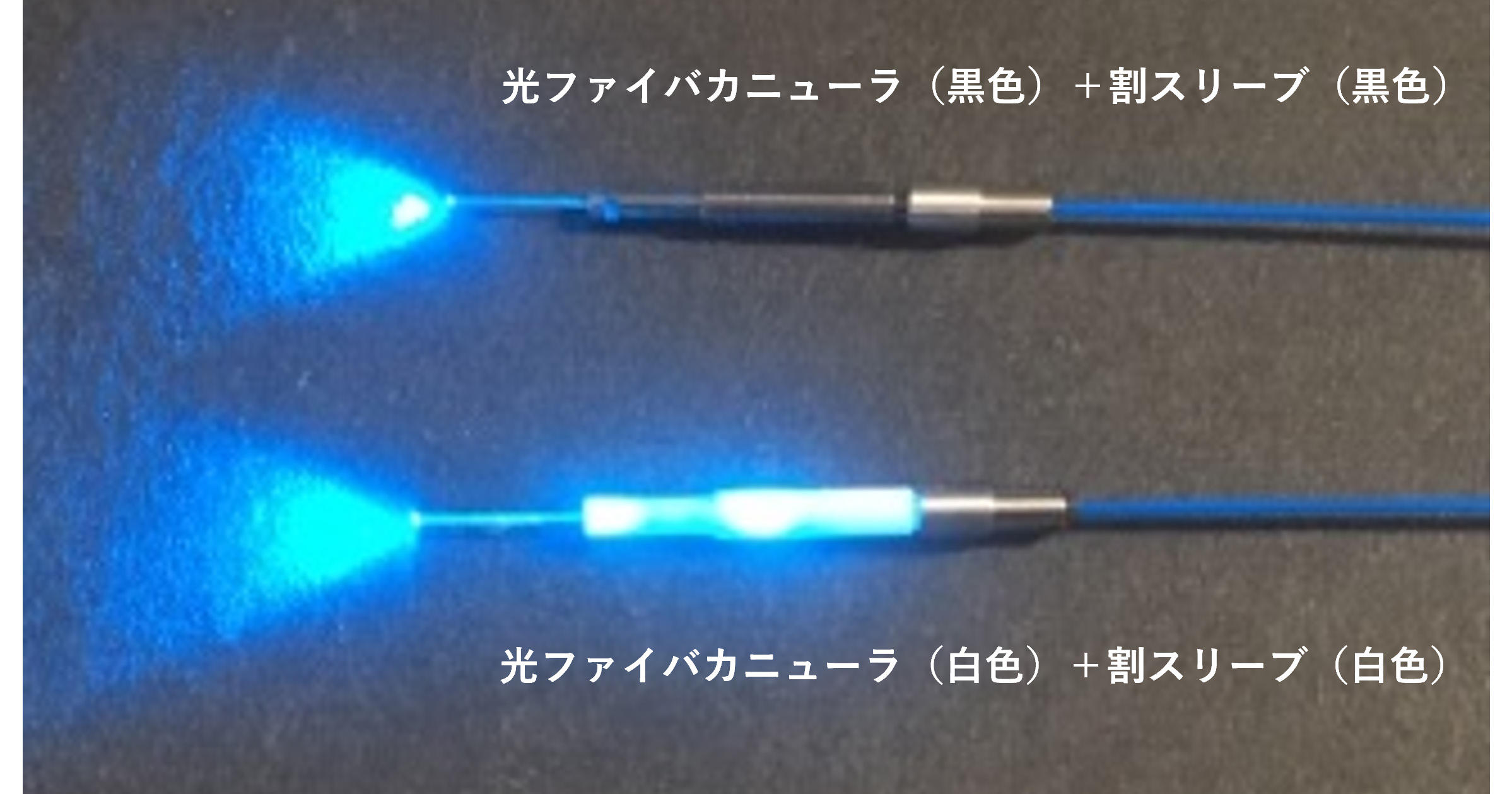 青色光(波長470nm)入射時外観