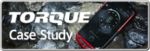 バナー：TORQUE Case Study