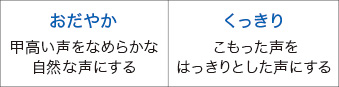 画像：聞こえ調整