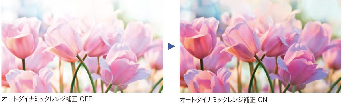 画像: