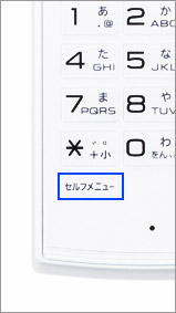 写真：セルフメニューキー