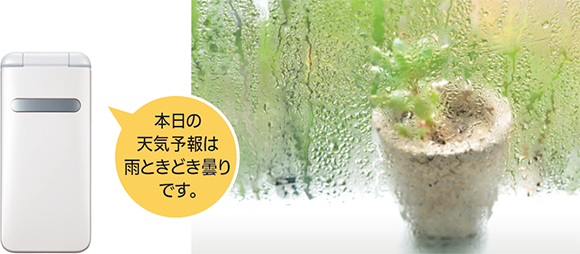 画像:本日の天気予報は雨ときどき曇りです。
