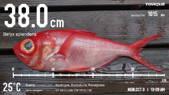 画像：Fishingモード